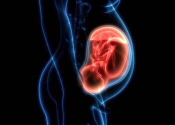 Científicos encuentran micro plástico en placenta humana