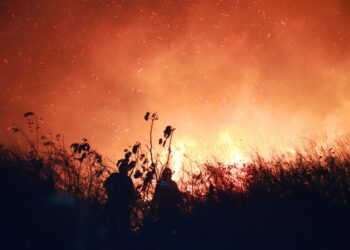 Ministro de Agricultura solicita a cultivadores no realizar quemas irresponsable de maleza