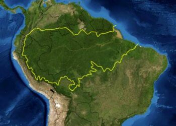 El asteroide que acabó con los dinosaurios habría creado la selva amazónica