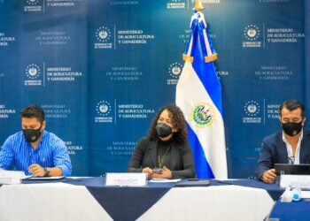Gobierno instala la «Comisión Nacional de Incendios Forestales»