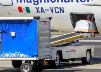 Restos mortales de Victoria, salvadoreña asesinada por policías de Tulum, llegan a El Salvador