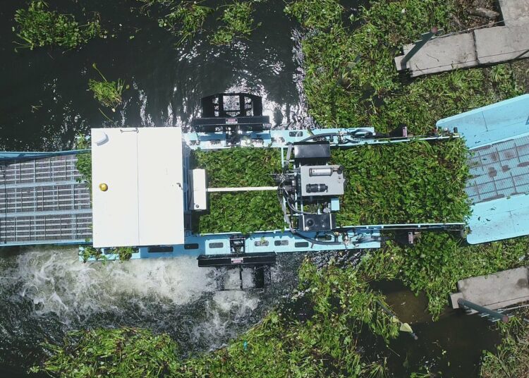 CEL extrae más de 28 mil toneladas de ninfa de la Central Hidroeléctrica 5 de noviembre