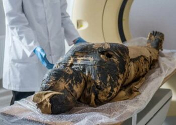 Científicos descubren la primera momia egipcia embarazada