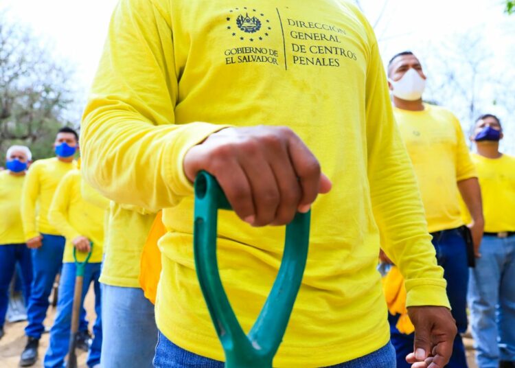 Privados de libertad realizan labores de reparación de calle en Tamanique, La Libertad