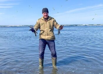 (VIDEO) Un ‘mar’ de arenques inunda la costa de la isla rusa de Sajalín y los lugareños los ‘pescan’ a dos manos