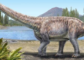 Identifica una nueva especie de dinosaurios que habitó hace millones de años en el desierto de Atacama, Chile