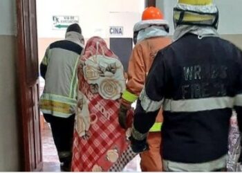 Abejas atacan a adultos mayores del Hogar de Ancianos de Santa Ana