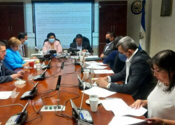 Diputados acuerdan superar veto presidencial a Ley del Consejo Superior de Salud Pública y Juntas de Vigilancia