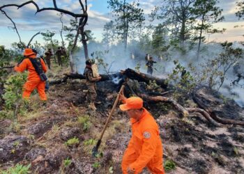 Incendio forestal de Morazán ya fue controlado