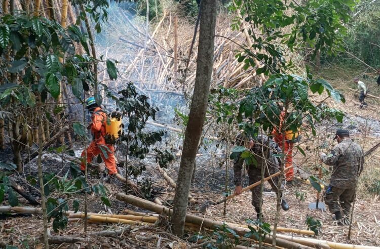 Bomberos, PNC y FAES extinguen incendio en carretera a Santiago de María, Usulután