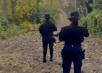 No se reportan muertes violentas en el 55% de los municipios del país en lo que va del año