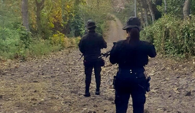 No se reportan muertes violentas en el 55% de los municipios del país en lo que va del año