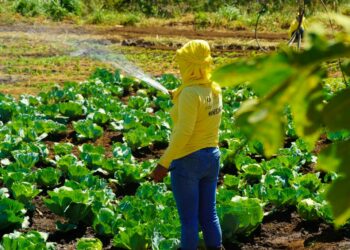 Privadas de libertad muestran el trabajo de los centros penales autosostenibles