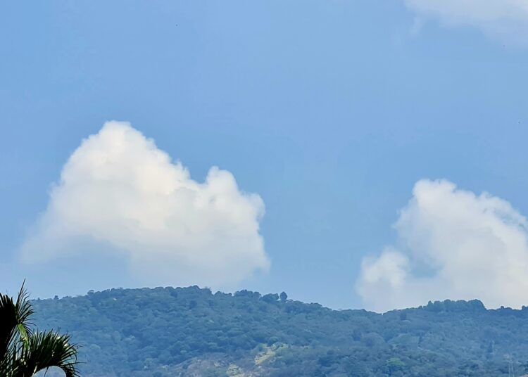 Cielo nublado y ambiente cálido para este domingo
