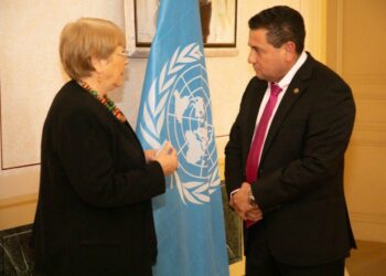 Fomento de la democracia y respeto a la separación de poderes los compromisos del Ministro de Trabajo ante la Alta comisionada de DD. HH. Michelle Bachelet