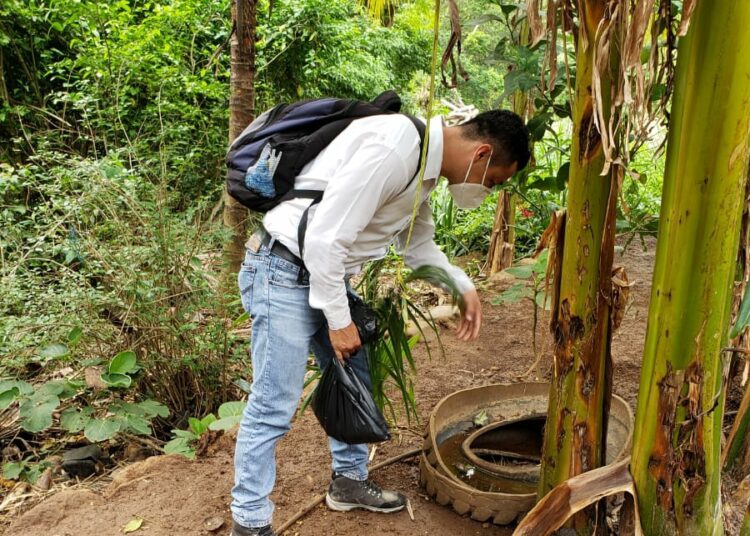 Ministerio de Salud realiza acciones para combatir el zancudo