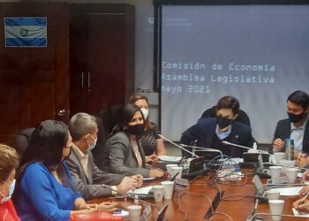 Ministra Hayem destaca ante diputados la recuperación económica del país durante la pandemia