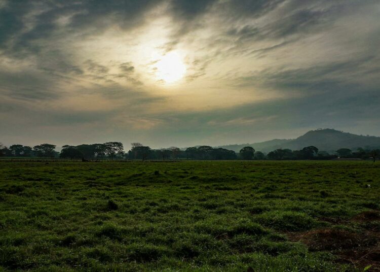 Sector agropecuario recibe $1.1 millones por parte del Ministerio de Agricultura y Ganadería
