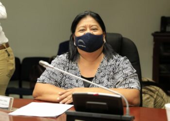 Diputada Sandra Martínez es elegida presidenta de la Comisión de Medio Ambiente y Cambio Climático