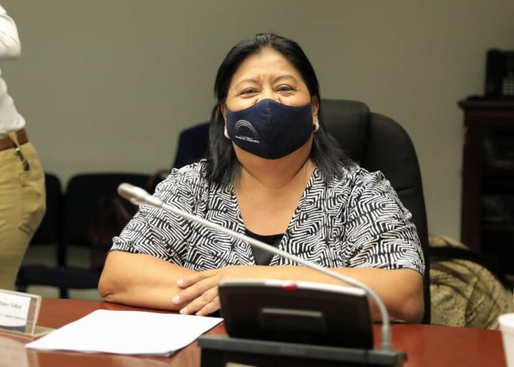 Diputada Sandra Martínez es elegida presidenta de la Comisión de Medio Ambiente y Cambio Climático