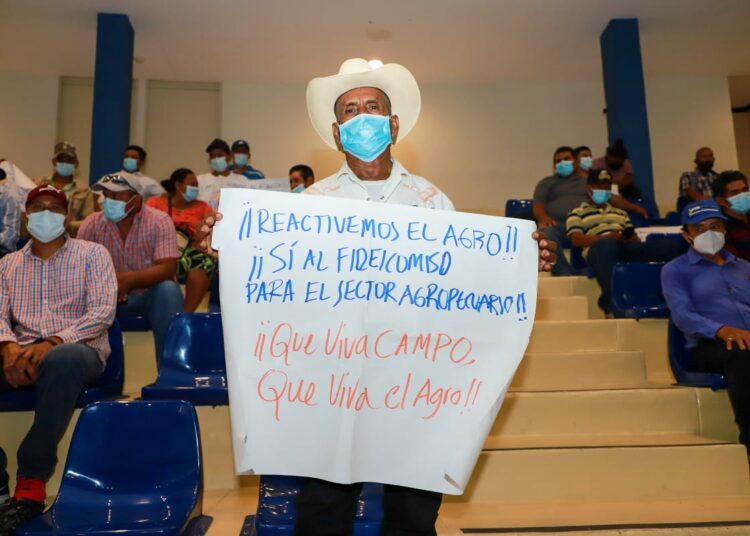 Presidente de la Asamblea reitera deseo de los nuevos diputados por trabajar a favor del sector agropecuario