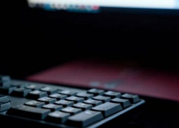 La Policía de Alemania desbarata un de los mayores portales de pornografía infantil