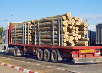 Un video con 3 millones de visualizaciones en TikTok muestra cómo quedó el parabrisas de un auto luego de que un tronco lo atravesara