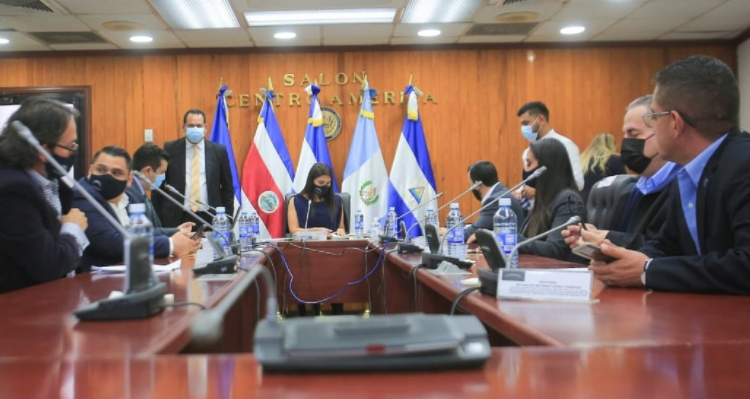 Abogados penalistas ayudarán a Comisión Especial a establecer cuáles delitos fueron cometidos por antigua Asamblea