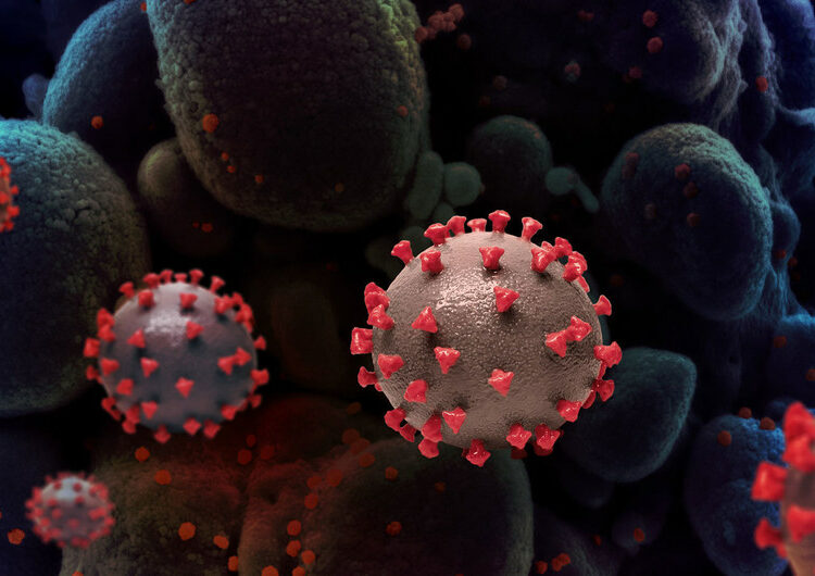 Investigadores descubren una nueva forma de como se transmite el covid-19, lo que daría pistas de cómo combatir al virus