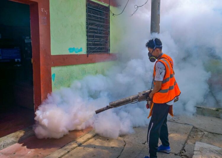Alcaldía de San Salvador realiza jornada de fumigación