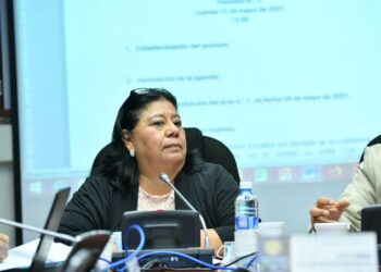 Comisión de Medio Ambiente envía al archivo la totalidad de iniciativas de ley: «Hay que comenzar de cero»