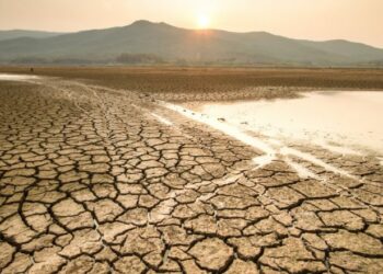 Más del 90 % del oeste de EE.UU. está amenazado por una sequía histórica