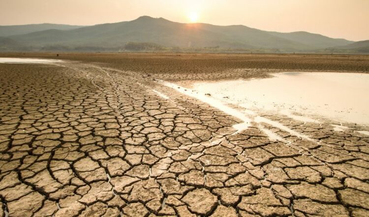 Más del 90 % del oeste de EE.UU. está amenazado por una sequía histórica