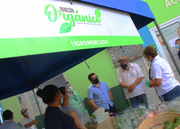 Agromercado Surf City se encuentra funcionando con más 26 productores en el malecón del puerto de La Libertad