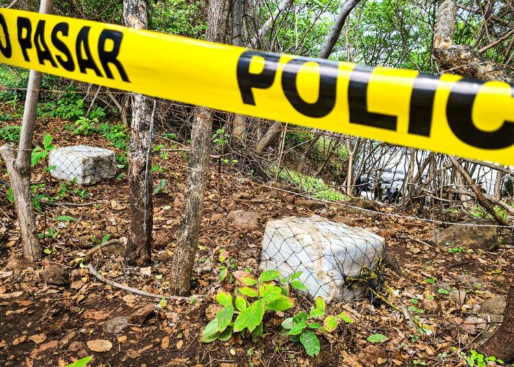 Solo en el 2021, la PNC ha incautado más de $37 millones en droga