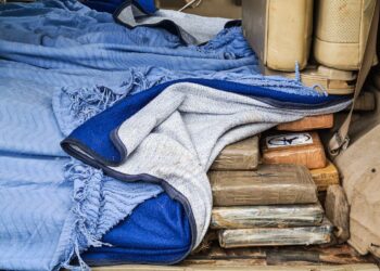 Imagen de referencia