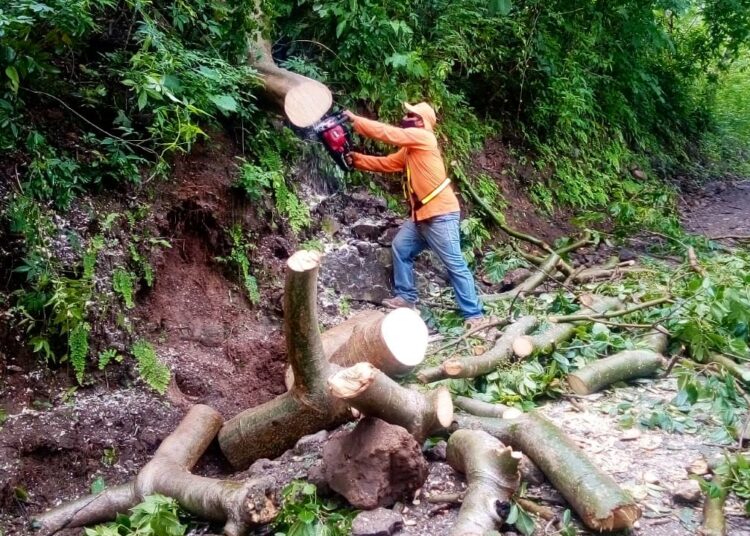 FOVIAL envía más de 150 cuadrillas en todo el país para atender emergencias por lluvias