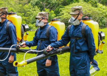 Ministerio de Agricultura continúa campaña de control de plaga de langostas en el oriente del país