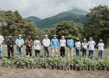 Ministerio de Medio Ambiente lanza campaña de reforestación «Árboles para El Salvador»