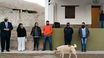 (VIDEO) Un perro se cuela en un acto público y orina a los pies de una intendenta en Argentina