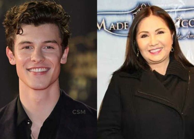 Shawn Mendes recuerda a Ana Gabriel con este detalle