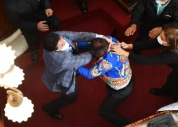 (VIDEO) Un debate sobre la detención de Jeanine Áñez desemboca en una pelea a puñetazos en la Asamblea de Bolivia
