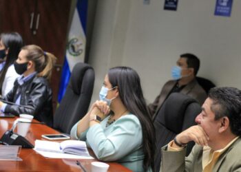 Diputados realizarán visitas de campo para constatar el cumplimiento de los derechos de las mujeres