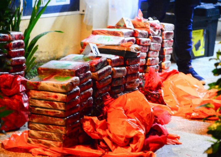 Ministro de Defensa confirma que en menos de una semana han incautado casi una tonelada de droga