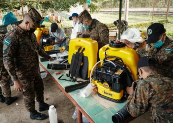 FAES ayuda en el control de brote de langostas en Chinameca, San Miguel