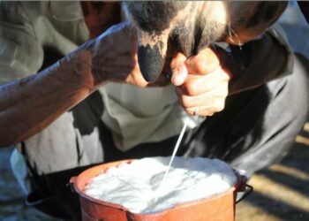 MAG reforzará la vigilancia sanitaria al ingreso de lácteos al país