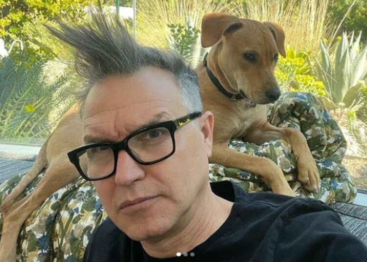 Mark Hoppus de Blink 182 reveló que tiene cáncer