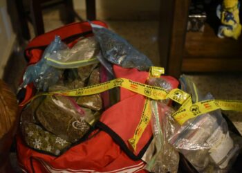 PNC realiza operación «Chuzo» capturando a 7 personas por tráfico ilícito, posesión y tenencia de droga