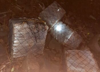 PNC captura a cinco sujetos por tráfico de droga en playa San Marcelino, La Paz