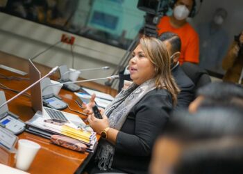 Procuradora General de la República plantea a diputados la problemática en la institución
